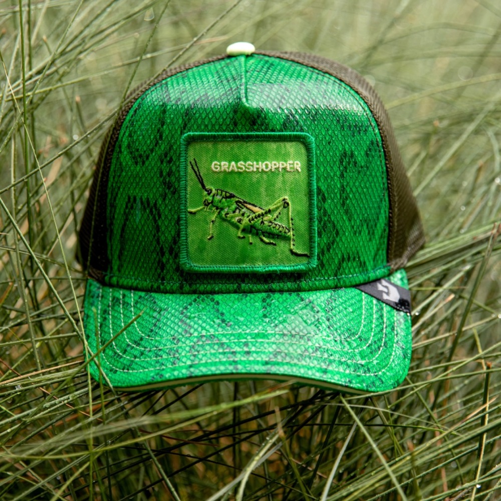 NIB Limited Edition Goorin Brothers Grasshopper Trucker Hat